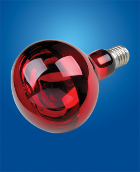 Infrared Ray Lamps（Red Coated）