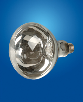 Infrared Ray Lamps