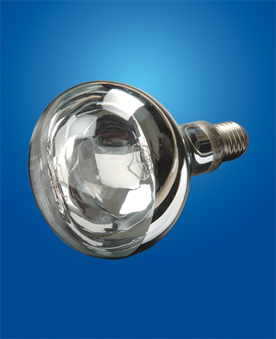 Reflector Lamps For Indoor Use