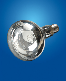Reflector Lamps
