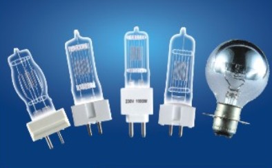 other marine bulbs